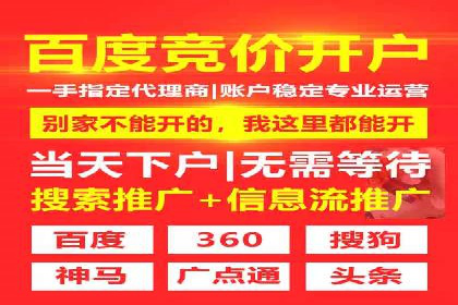 搜索引擎营销（SEM）的竞价策略优化案例